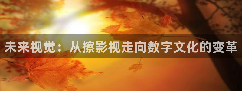 家庭午夜影院