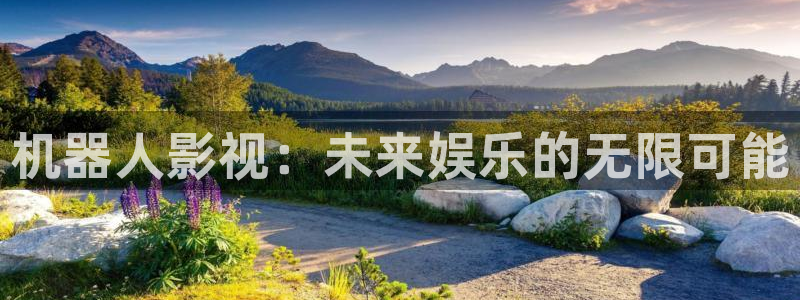 笫九影院午夜理论