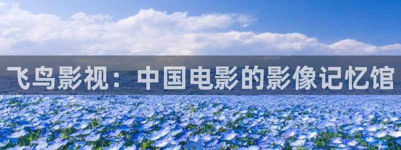 午夜影院在线草b
