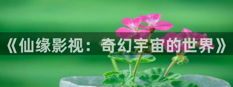 午夜高清免费电影