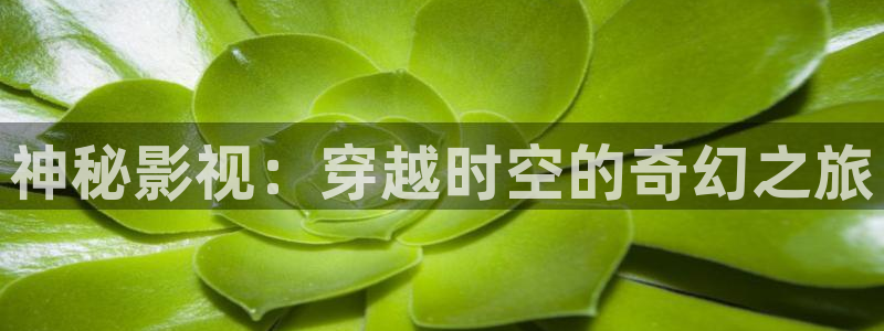 午夜私人影院免费看片