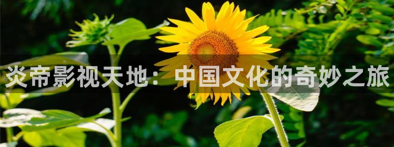 午夜18影院